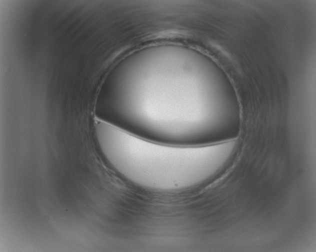 X0000069831313200605190931