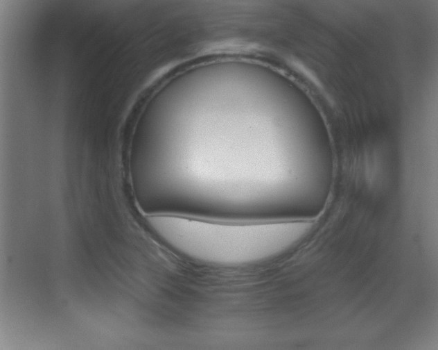 X0000069831315200605190931