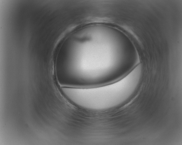 X0000069831317200605190932