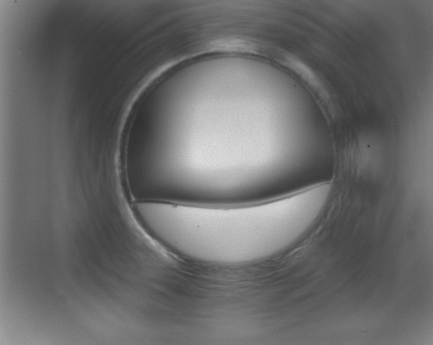 X0000069831331200605190932