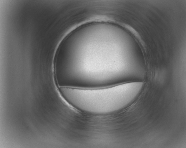 X0000069831335200605190932