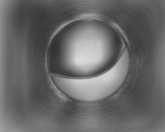X0000069831336200605190932