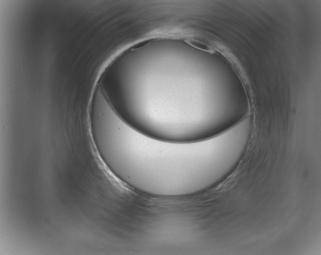 X0000069831344200605190932