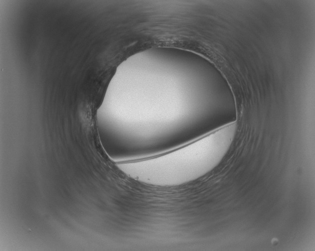 X0000069831347200605190931