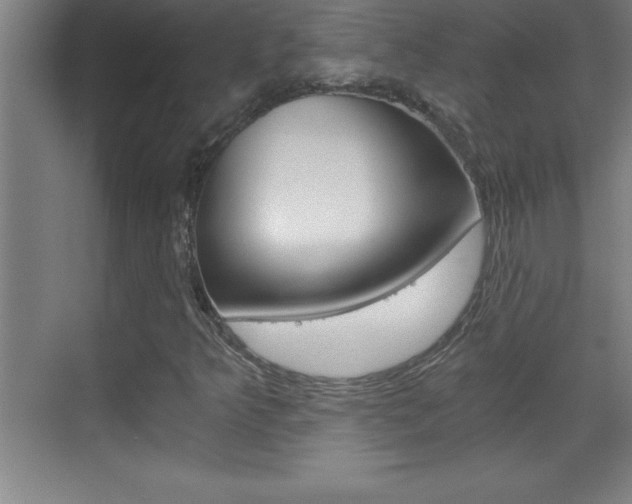 X0000069831349200605190931