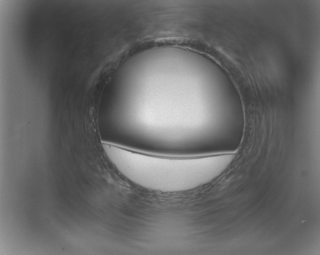 X0000069831351200605190931