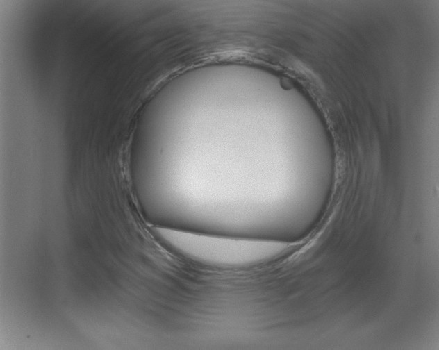 X0000069831353200605190931