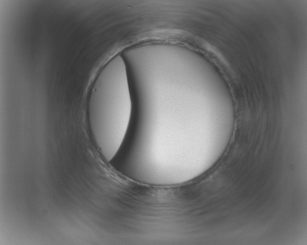 X0000069831362200605190931
