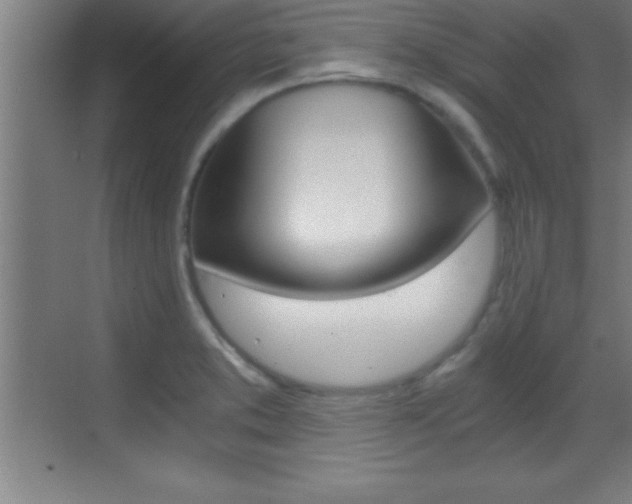 X0000069831373200605190931