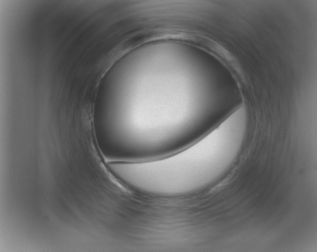 X0000069831377200605190931