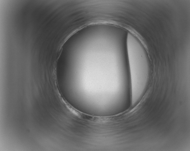 X0000069831385200605190931