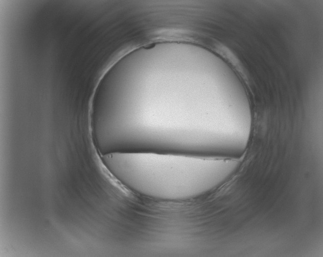 X0000069831386200605190930