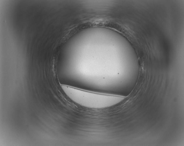 X0000069831396200605190930