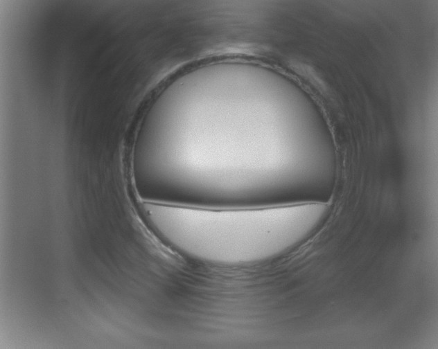 X0000069831404200605190930