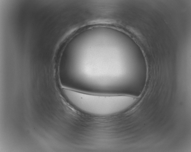 X0000069831406200605190930