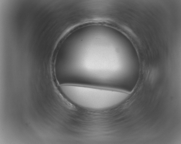 X0000069831412200605190930