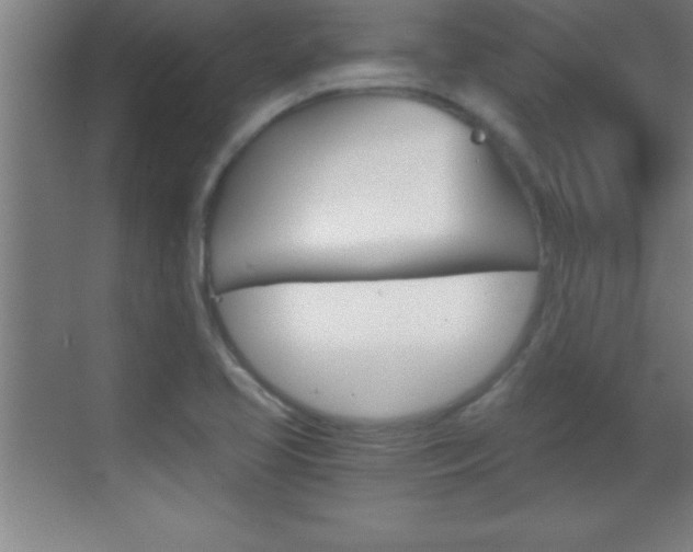 X0000069831413200605190930