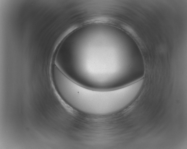X0000069831426200605190930