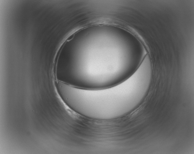 X0000069831434200605190930