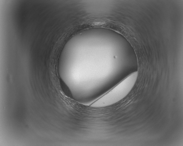 X0000069831441200605190930