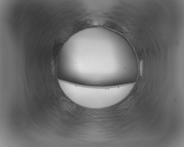X0000069831443200605190930