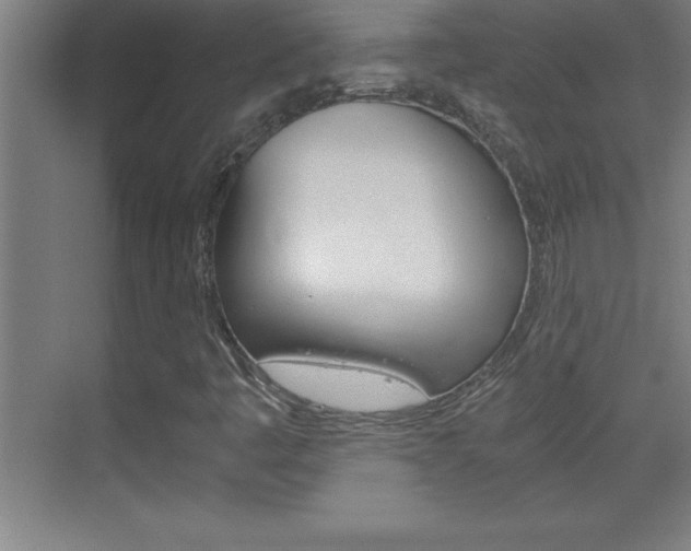 X0000069831445200605190930