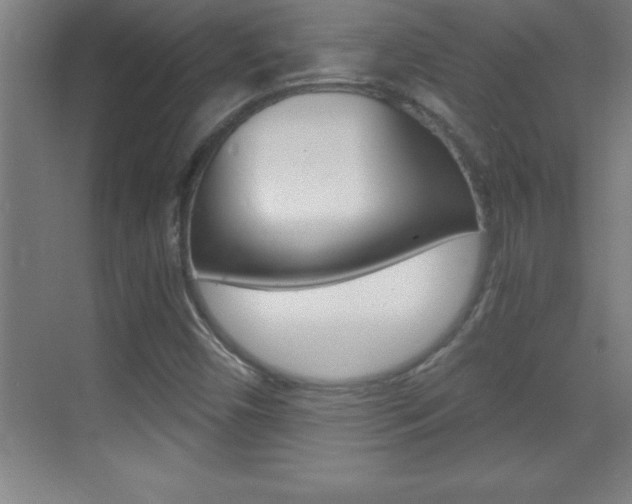 X0000069831450200605190929