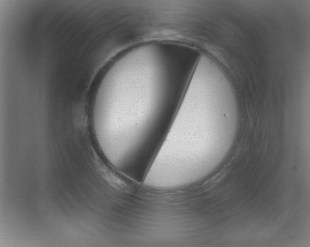 X0000069831458200605190929