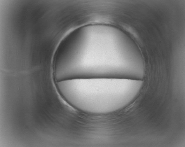 X0000069831471200605190929