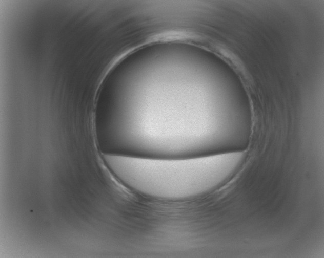 X0000069831473200605190929