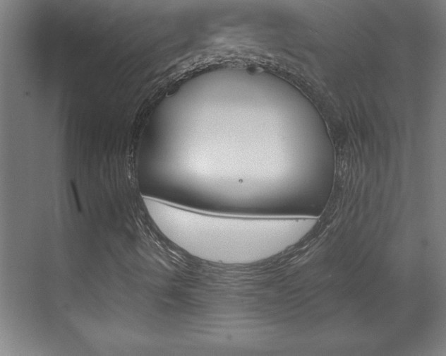 X0000069831490200605190928