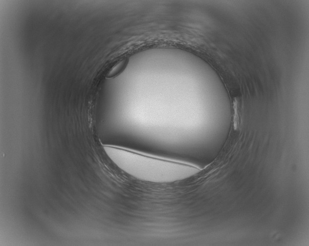 X0000069831491200605190928