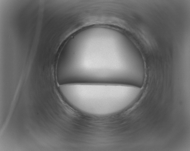 X0000069831505200605190928