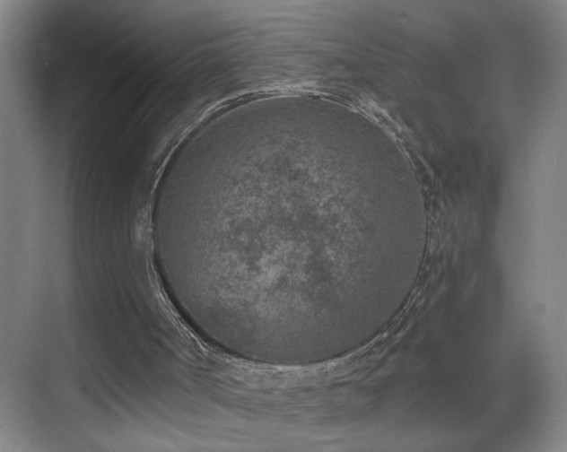 X0000069830002200605191152