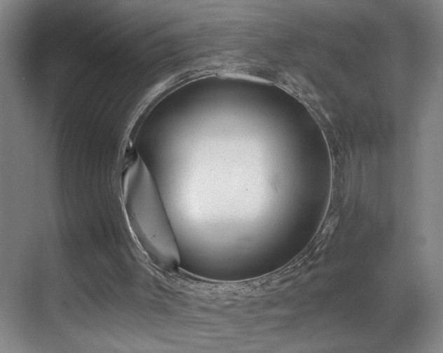 X0000069830003200605191152