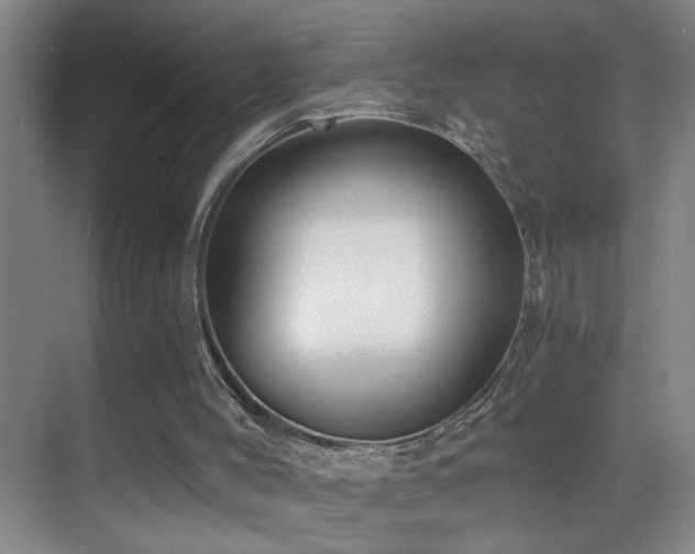 X0000069830004200605191152