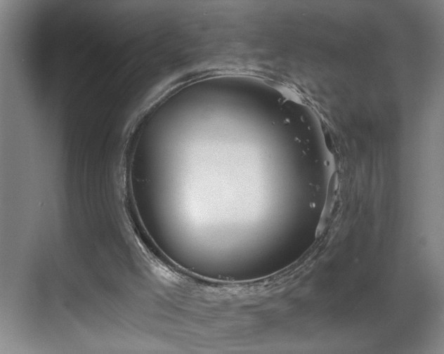 X0000069830005200605191152