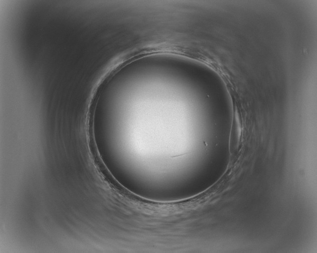 X0000069830006200605191152