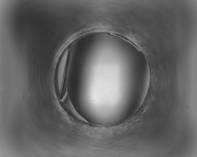 X0000069830007200605191152