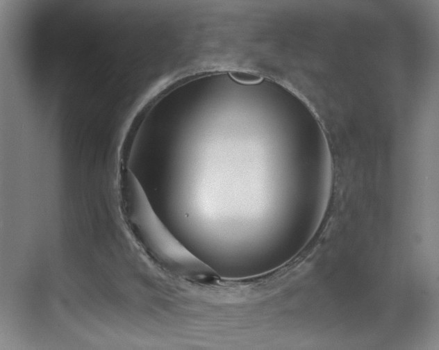 X0000069830008200605191152