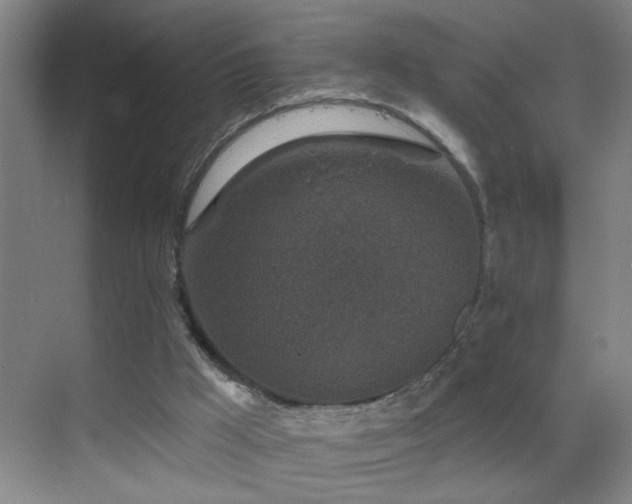 X0000069830009200605191152