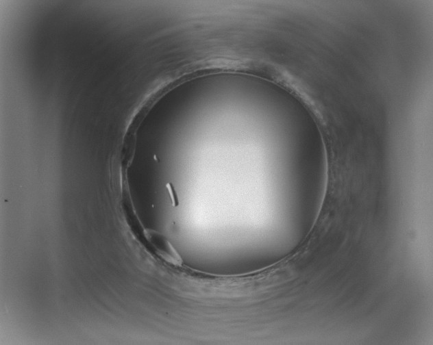 X0000069830011200605191152