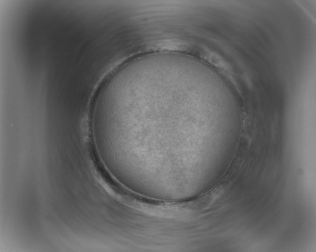 X0000069830012200605191152