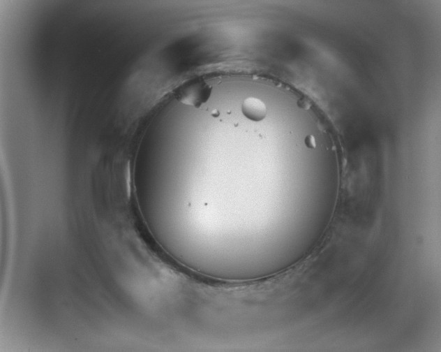 X0000069830013200605191151