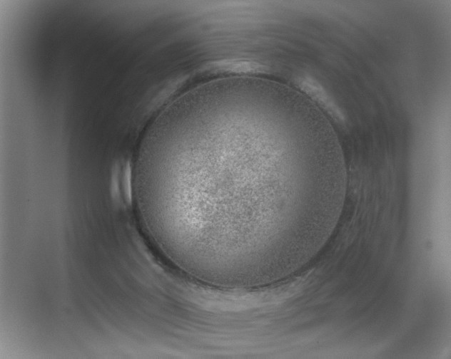 X0000069830014200605191151