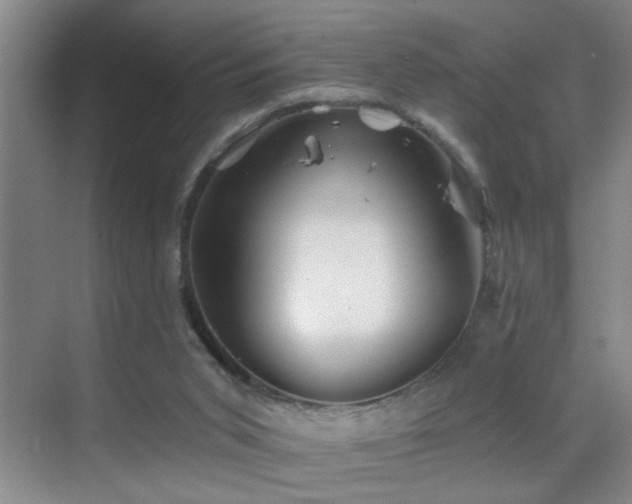 X0000069830015200605191151