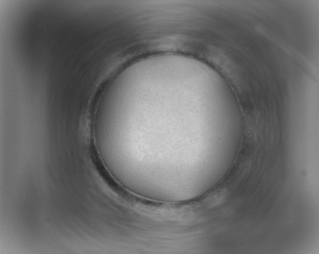 X0000069830016200605191151