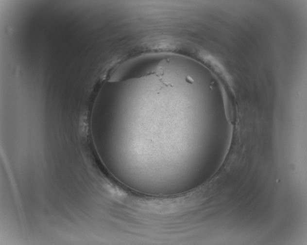 X0000069830017200605191151