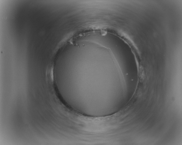 X0000069830019200605191151