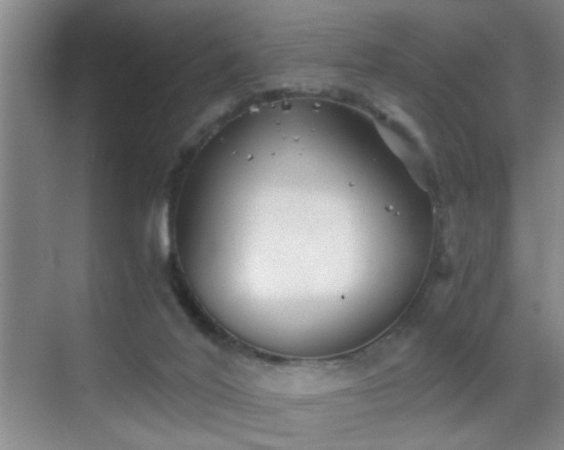 X0000069830020200605191151